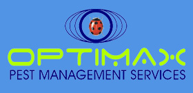 Optimax